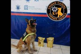 El paquete asegurado estaba emplayado y listo para ser enviado a Lerdo, Durango.