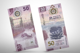 Los billetes y monedas mexicanos no solo son parte del día a día, sino que algunos se han convertido en verdaderas joyas de colección.