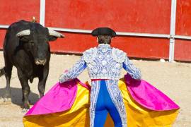 La Suprema Corte de Justicia de la Nación reevalúa la constitucionalidad de las corridas de toros, desatando un debate sobre los derechos de los animales y las tradiciones culturales.