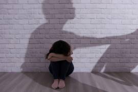 En lo que va del año, hay mil 800 casos de violencia familiar denunciados.