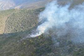 El incendio forestal se reportó en la comunidad El Toro en la sierra de Galeana, Nuevo León, este viernes