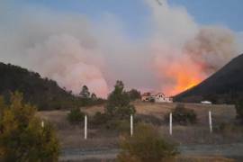 Sigue estancada investigación por mega incendio en La Pinalosa