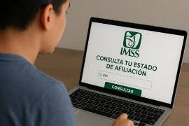 Descubre en qué consiste el Seguro Facultativo del IMSS, sus requisitos principales, el procedimiento de trámite y las personas que pueden beneficiarse de este esquema de salud.