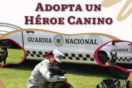 La Guardia Nacional invita a la comunidad a participar en esta noble causa, brindando hogares amorosos a perros jubilados con una convocatoria llena de requisitos y cuidados.