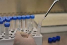 Nueva técnica genética que genera células sanas podría curar la hepatitis B