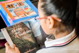 Los libros de la Nueva Escuela Mexicana reducen el contenido de Matemáticas y Español, a decir de especiaistas.