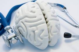 Las clases serán impartidas por psicólogos clínicos y psicoterapeutas con amplia experiencia en el campo de la salud.