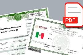 Si no los tienes y no sabes cómo obtenerlos, aquí te contamos cómo puedes hacerlo por internet.