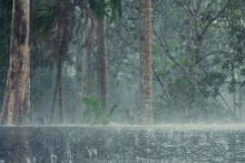 El frente frío 24 ingresará a Baja California este 26 de diciembre y, junto con un río atmosférico y la corriente en chorro polar, provocará descenso de temperatura, lluvias fuertes y probabilidad de nieve o aguanieve en sierras de Baja California, Sonora y Chihuahua