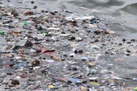 Fotografía que muestra basura de plástico flotando en el océano. El fondo oceánico alberga entre tres y once toneladas métricas de plástico, según un estudio pionero.