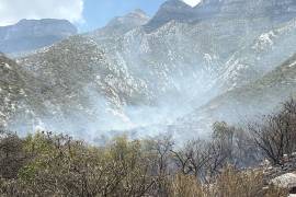Incendio Forestal en el cerro de las Mitras, Nuevo León