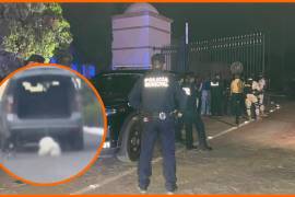 POLITICÓN: Caso Rocky Saltillo, ¿maltrato animal o accidente?