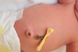 Enterrar el ombligo del bebé es una costumbre ancestral en México que simboliza arraigo, protección y destino. Desde el sur hasta el norte del país, esta práctica mantiene vivo un profundo significado cultural.