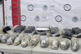 El aseguramiento se realizó en julio pasado durante un operativo de la Policía Federal Ministerial sobre la carretera federal 57, en Coahuila.