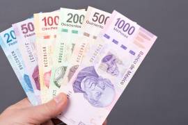 El Crédito Fonacot para mujeres ofrece financiamiento de hasta cuatro meses de sueldo, con pagos vía nómina y plazos de hasta 30 meses.