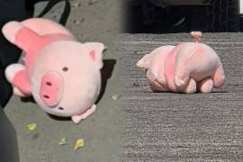 Dos adolescentes asesinados en menos de 48 horas en el norte de Culiacán dejaron una escena que hoy provoca inquietud en Sinaloa: un peluche de cerdito rosa encontrado junto a ambos ataques.