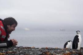 Javier Bardem realiza una expedición en la Antártida para pedir protección del océano