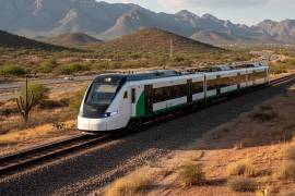 El proyecto contempla la adquisición de 47 trenes de pasajeros que alcanzarán una velocidad máxima de 165 kilómetros por hora, con unidades de aproximadamente 100 metros de longitud.