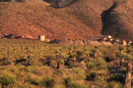 Minera de Coahuila donde murieron 4 mineros presenta fallas; además cerró sus escuelas sin motivo