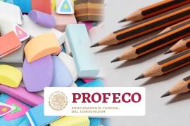 Descubre cuáles son las mejores marcas de lápices y gomas de borrar según el estudio de calidad de la Profeco para este regreso a clases.