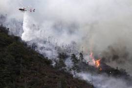 Las secuelas del incendio en La Pinalosa, uno de los más devastadores en la última década, siguen siendo visibles en la sierra de Arteaga, mientras el proceso judicial enfrenta continuos retrasos.