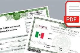 Si no los tienes y no sabes cómo obtenerlos, aquí te contamos cómo puedes hacerlo por internet.