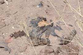 Encuentran bolsas de basura con restos humanos en predio de Jalisco