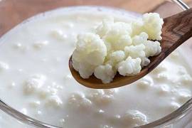 La diferencia entre yogur y kéfir suele generar dudas, ya que ambos son productos lácteos fermentados que contienen probióticos y se consideran opciones saludables.