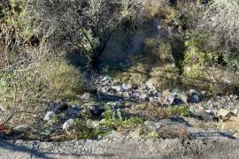 El arroyo, con una caída de aproximadamente 8 metros, fue el sitio donde Rubén Arturo perdió el equilibrio.