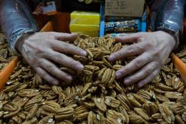 Estados Unidos, Canadá, Suiza, Francia y Países Bajos fueron el Top 5 de los países que concentraron el grueso de las exportaciones de frutos secos y otros de México.