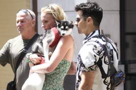 Perrito de Joe Jonas y Sophie Turner murió atropellado