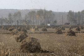 El SMN advirtió sobre torbellinos en Coahuila, tolvaneras y altas temperaturas, además de la llegada de un frente frío al norte con lluvias y rachas intensas.