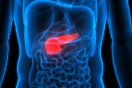 La FDA autorizó Rasonque, un medicamento oral dirigido contra la proteína RAS, para adultos con adenocarcinoma pancreático metastásico que ya recibieron tratamiento sistémico.