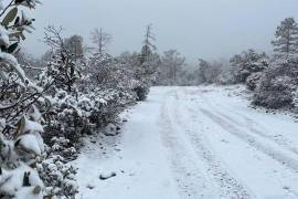 Se mantendrá la probabilidad para la caída de nieve o aguanieve en las sierras de Sonora, Chihuahua, Sinaloa (norte) y Durango.