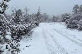 Se mantendrán condiciones para la caída de nieve o aguanieve en las sierras de Sonora, Chihuahua Y Baja California.
