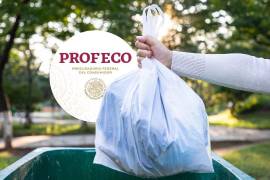 Profeco publicó en la Revista del Consumidor los resultados de un estudio donde evaluó la resistencia, seguridad y hermeticidad de diferentes marcas de bolsas de basura disponibles en el mercado