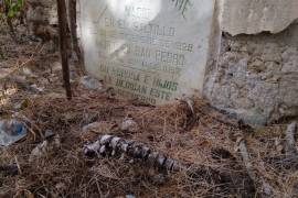 Restos humanos yacentes tras la destrucción de criptas en el cementerio colonial de Parras.