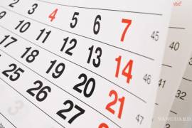 Con la llegada del 2024 es necesario tener un calendario para saber cuando serán los festivos, días de descanso, hasta planificar semanas y meses.