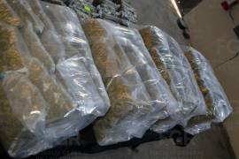 El caso se originó a partir de una denuncia ciudadana que alertó a las autoridades federales sobre el presunto traslado de droga a bordo de un vehículo de carga.