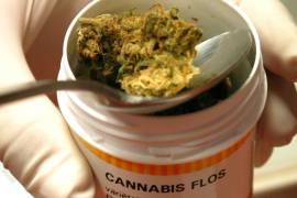 Uso medicinal de mariguana lejos de la legalización