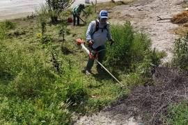 Cuadrillas de Servicios Primarios realizaron labores de limpieza y deshierbe en distintos sectores de Ramos Arizpe.