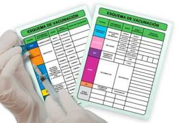 Actualmente, se vive un brote de sarampión en México, manteniendo las alertas en las autoridades sanitarias desde 2025.