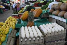 Sectores como la agricultura y los servicios profesionales han sido particularmente afectados.