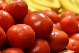El jitomate alcanza precios récord en México y eleva la inflación. Factores climáticos y menor producción explican el aumento en marzo de 2026.