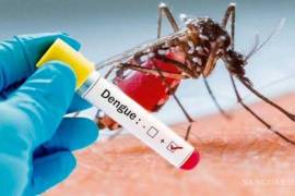 A pesar de la baja de temperaturas, los contagios de dengue se mantuvieron elevados durante todo el 2024.