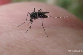Secretaría de Salud intensifica campañas informativas sobre el dengue en Coahuila.