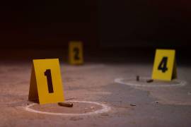 Homicidios en Salamanca, Guanajuato