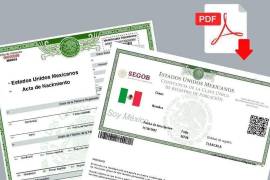 Con la llegada de nueva tecnología, ya no se tiene por qué hacer una larga fila para obtener estos documentos pues ya puede hacerse en Internet.