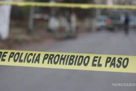 Los cuerpos de emergencia confirmaron el deceso de la mujer tras el atropellamiento.