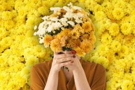 Las flores amarillas se regalan cada 21 de septiembre como símbolo de amor, amistad, esperanza y nuevos comienzos.
